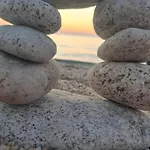 Bidreams