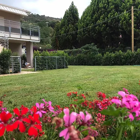 Дом отдыха Bidreams *