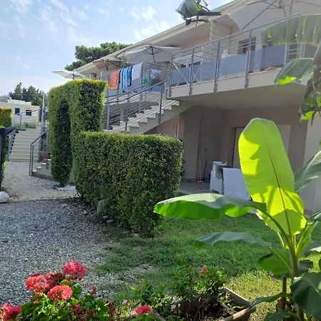 Bidreams * Цамброне