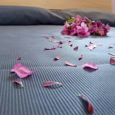 Bidreams Дом отдыха *