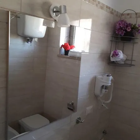 Bidreams Цамброне