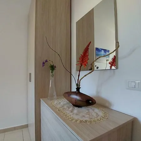 Bidreams Цамброне