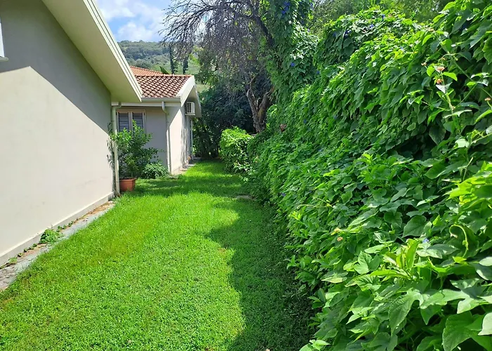 Bidreams Ferienhaus *