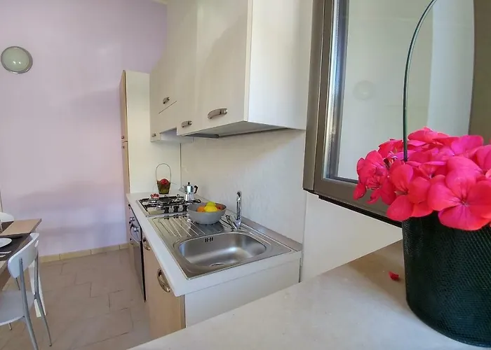 Bidreams Ferienhaus *